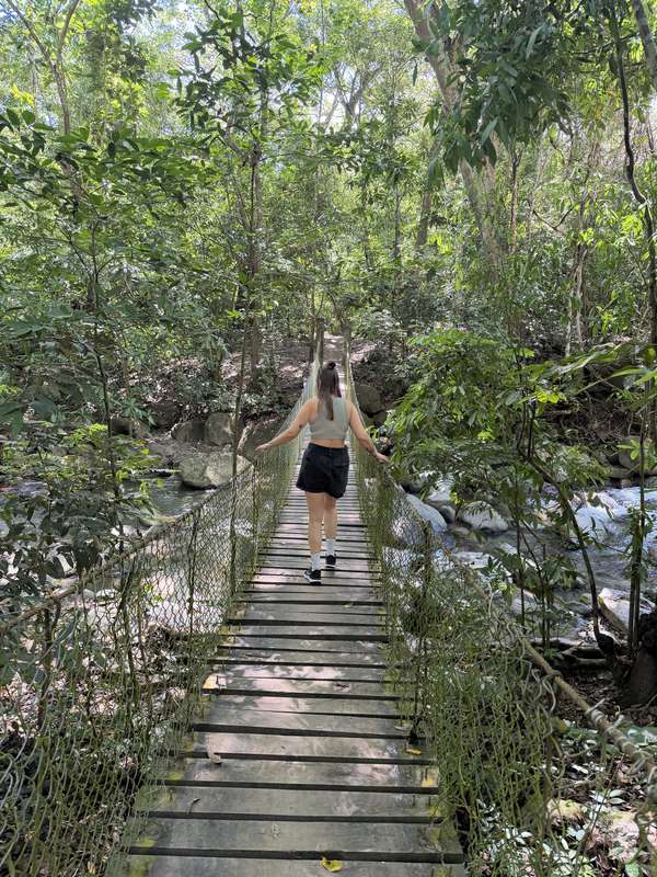 Hängebrücke über Bach im Dschungel — Finca Carpe Diem
