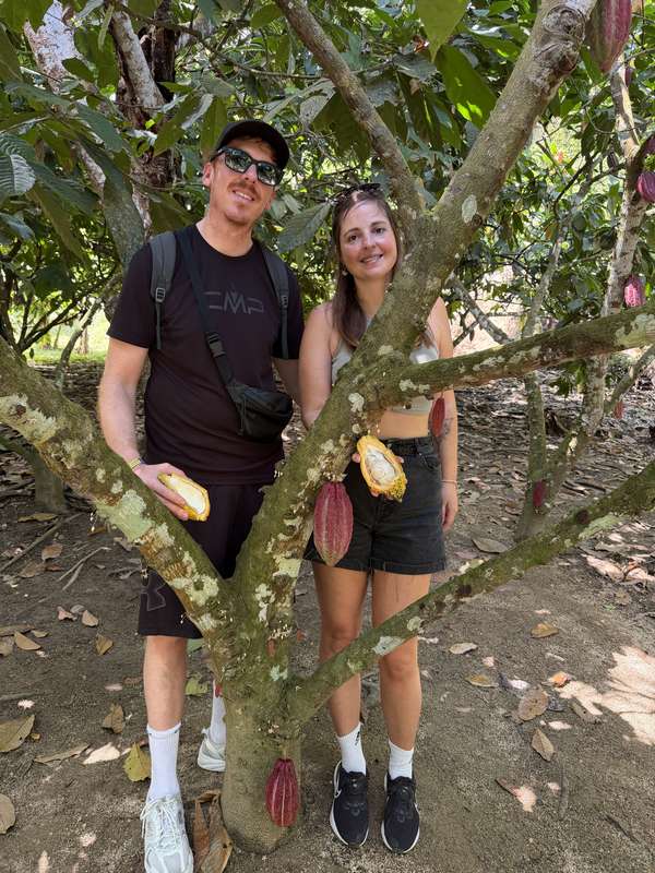 Couple mit aufgeschnittener Kakao-Schote, lila Bohnen sichtbar