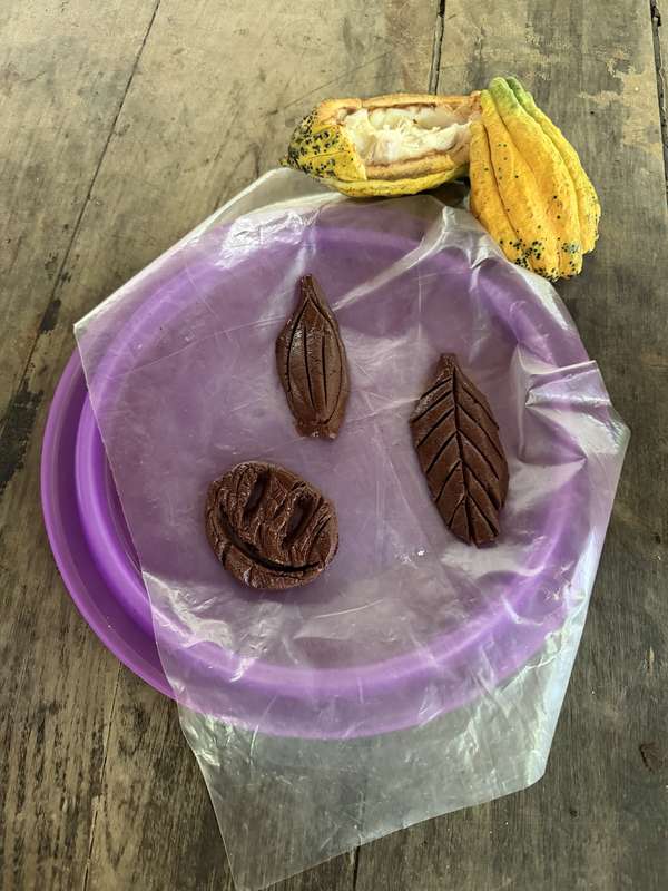 Selbstgemachte Schokolade auf Teller