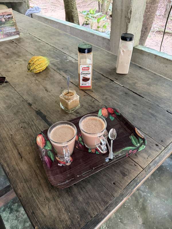 Heiße Schokolade Tassen mit Kakao-Schote dekoriert