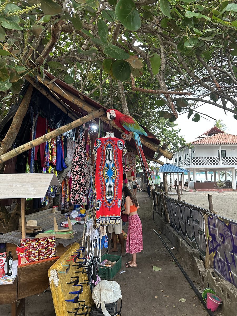 Straßenstand mit Ara auf der Stange