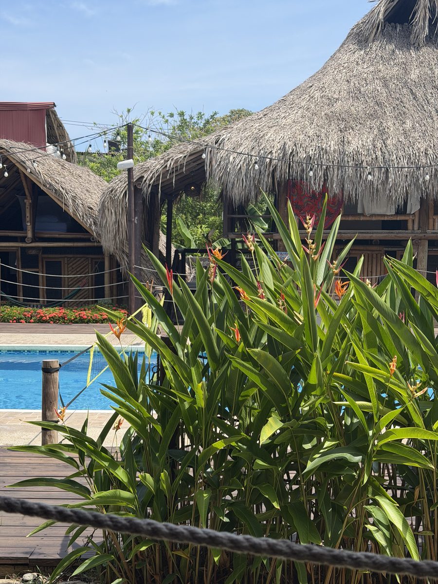 Tiki Hut Hostel Pool am Abend