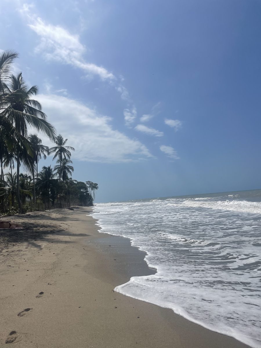 Palmenstrand Palomino