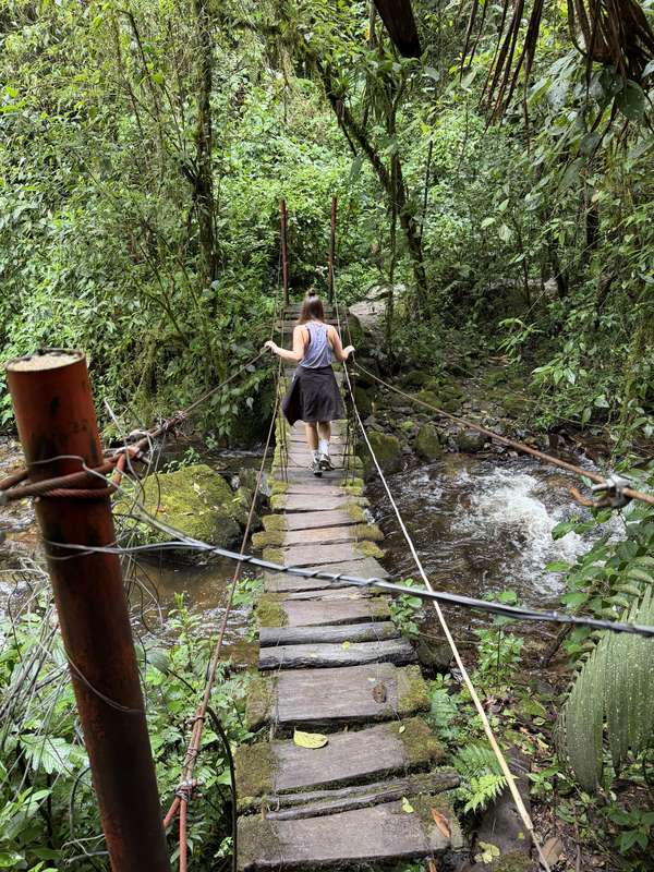 Sarah überquert wackelige Hängebrücke