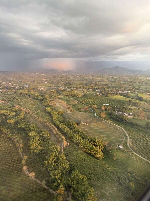 Kaffeeplantagen im Landeanflug