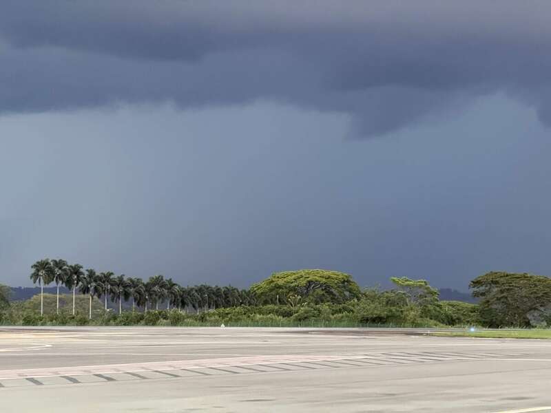 Palmen an der Landebahn