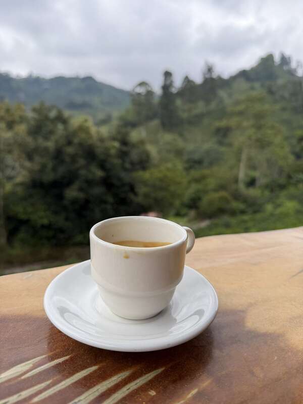 Tasse Kaffee mit Bergpanorama